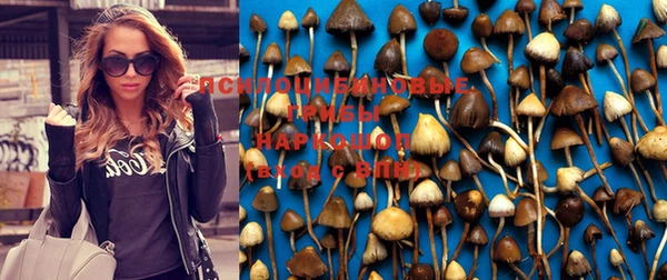 дурь Козловка