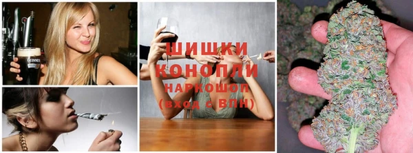 дурь Козловка