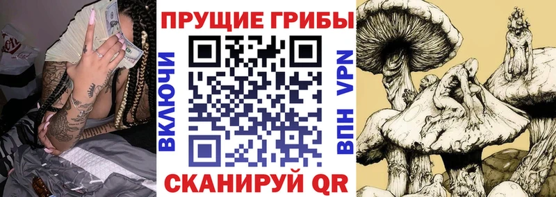 Купить закладки  Севастополь  Галлюциногенные грибы GOLDEN TEACHER 